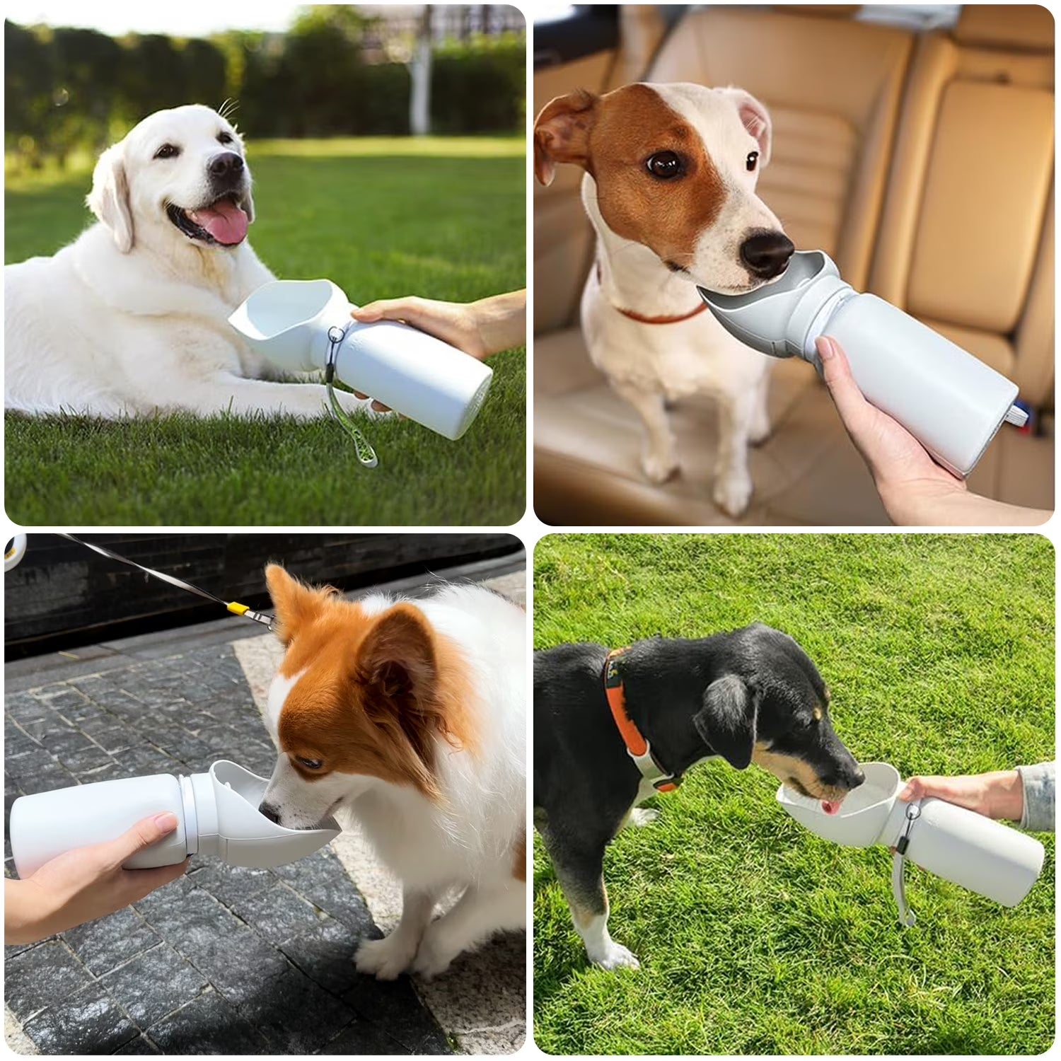 Dog Water Bottle, Leak Proof Travel Bottle for Dogs, Portable Dog Water Dispenser for Walking, Hiking, Travel (19Oz)